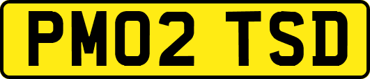 PM02TSD