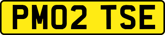 PM02TSE