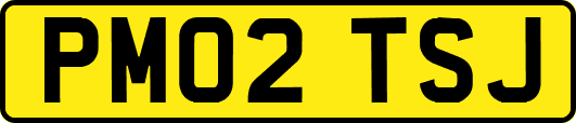 PM02TSJ