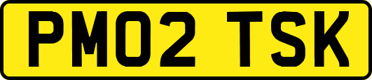 PM02TSK