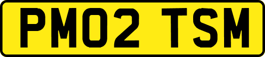 PM02TSM