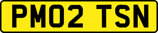 PM02TSN