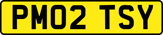 PM02TSY