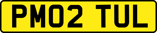 PM02TUL
