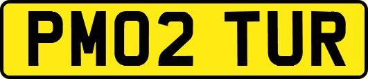 PM02TUR