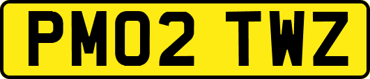 PM02TWZ