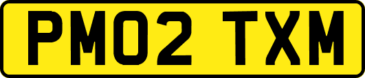 PM02TXM