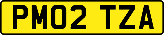 PM02TZA