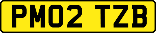 PM02TZB