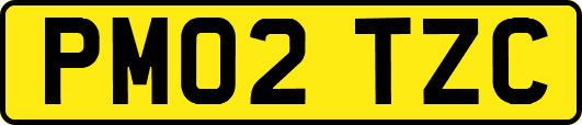 PM02TZC