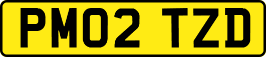 PM02TZD
