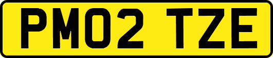 PM02TZE