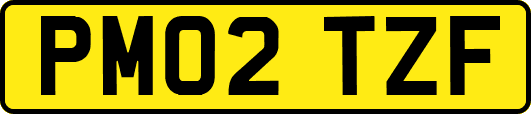 PM02TZF