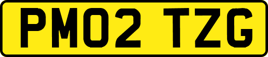 PM02TZG