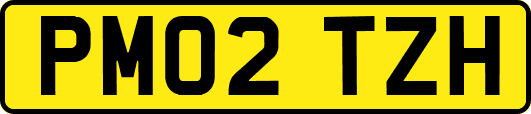 PM02TZH