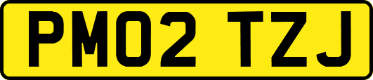 PM02TZJ