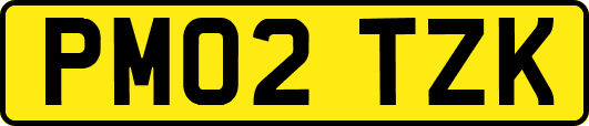 PM02TZK