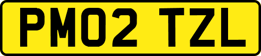 PM02TZL