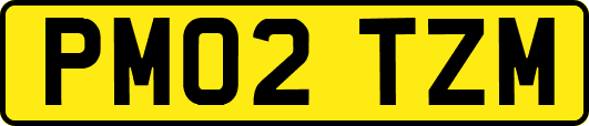 PM02TZM