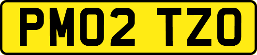 PM02TZO