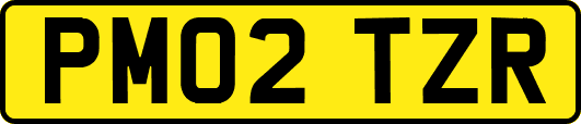 PM02TZR