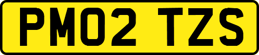 PM02TZS