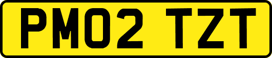 PM02TZT