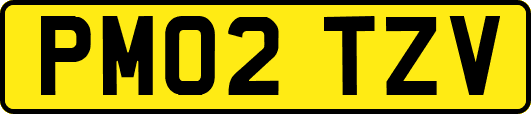 PM02TZV