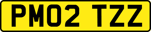 PM02TZZ