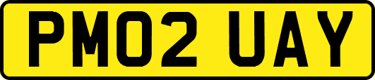 PM02UAY
