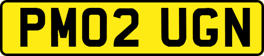 PM02UGN