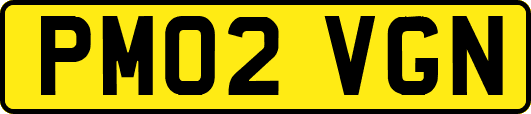 PM02VGN