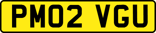 PM02VGU