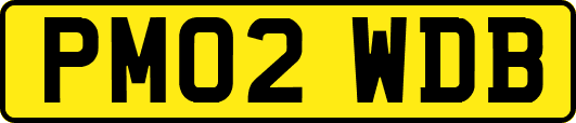 PM02WDB