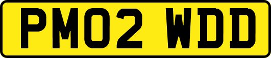 PM02WDD