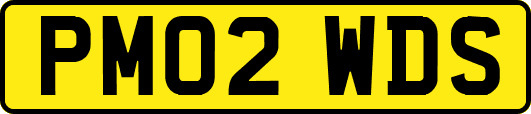 PM02WDS