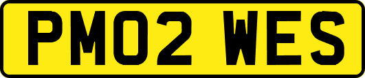 PM02WES