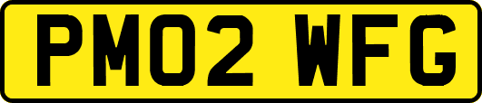 PM02WFG