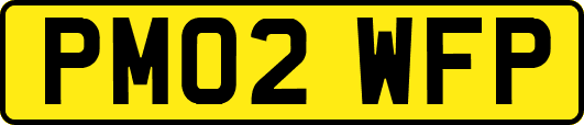 PM02WFP