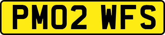 PM02WFS