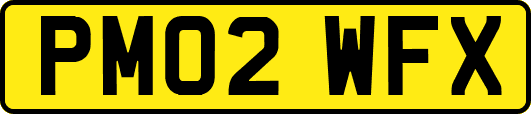 PM02WFX