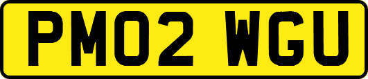 PM02WGU