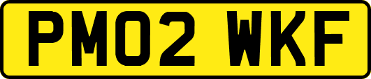 PM02WKF