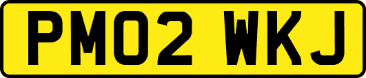 PM02WKJ