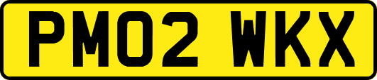 PM02WKX