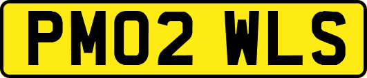 PM02WLS