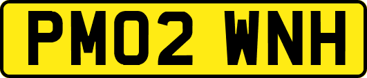 PM02WNH