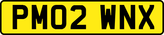 PM02WNX