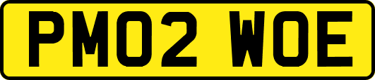 PM02WOE