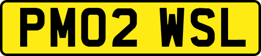 PM02WSL